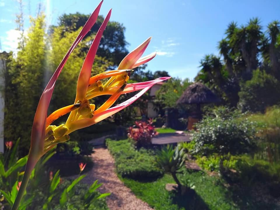 Pousada Paralelo 14 Alto Paraíso de Goiás Exteriér fotografie